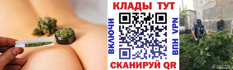Где найти наркотики Южа Псилоцибиновые грибы  МЕФ  ГАШИШ  ЭКСТАЗИ  COCAIN  Канабис 