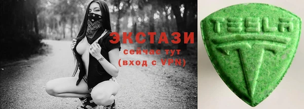 гидра Каменногорск