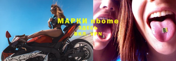 амф Чита