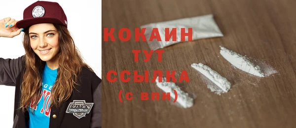 гидра Каменка