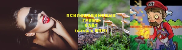гидра Каменка