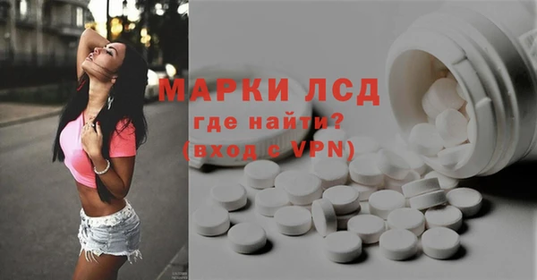 гидра Каменка