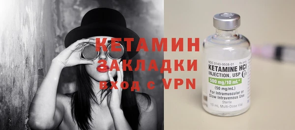 гидра Каменка