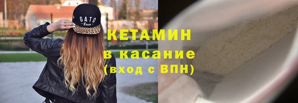 гидра Каменка