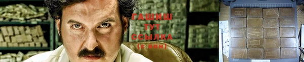 гидра Каменка