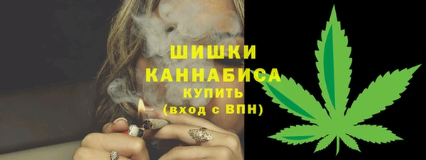 гидра Каменногорск