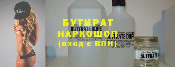 гидра Каменка