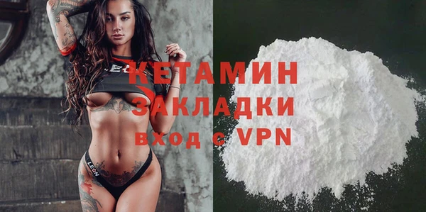 гидра Каменка