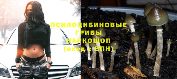 гидра Каменногорск