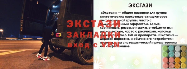 гидра Каменка