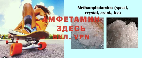 гидра Каменка